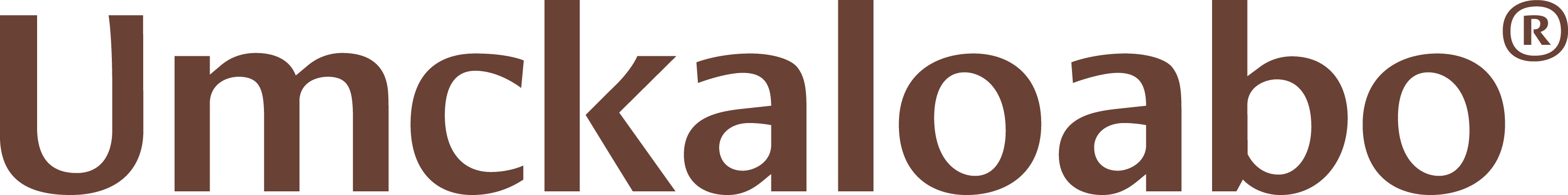 Logo Schwabe Group