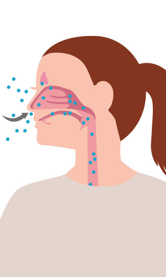Grafik Entzündungen der oberen Atemwege