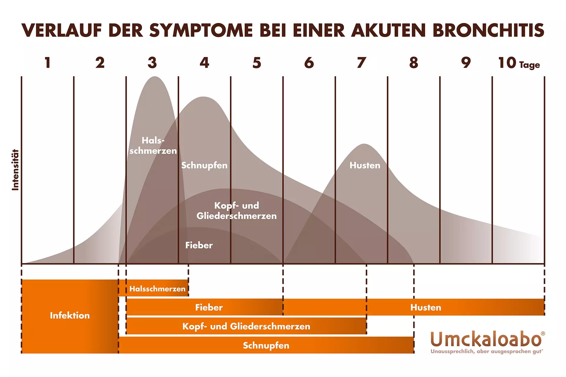 Verlauf der Symptome einer Bronchitis