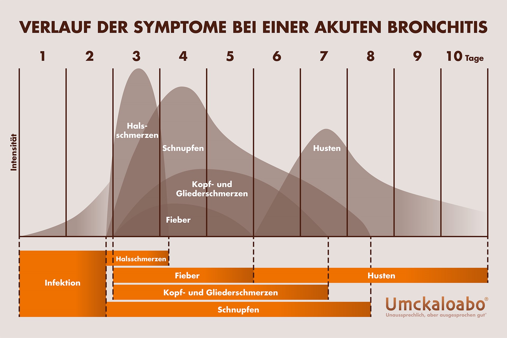 Verlauf der Symptome einer akuten Bronchitis
