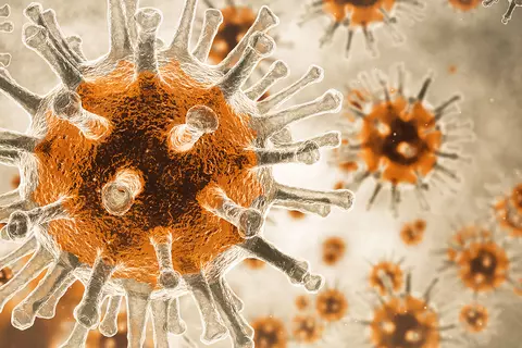 Virus