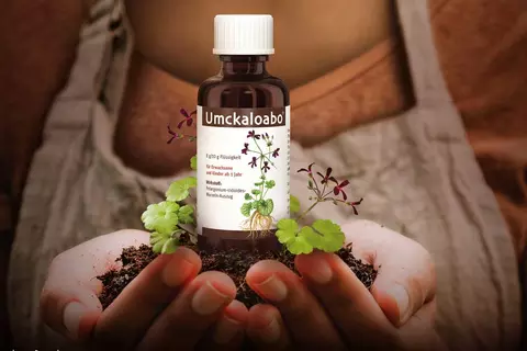 Umckaloabo Tropfen Packungsabbildung