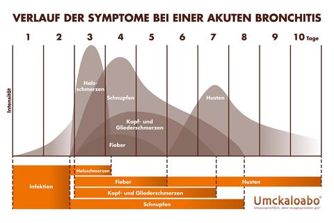 Verlauf der Symptome einer Bronchitis